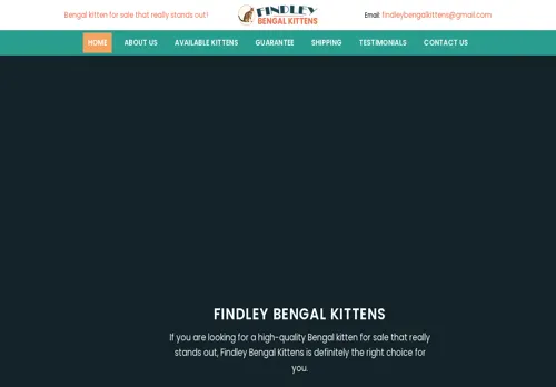 is findleybengalkittens.com legit? screenshot