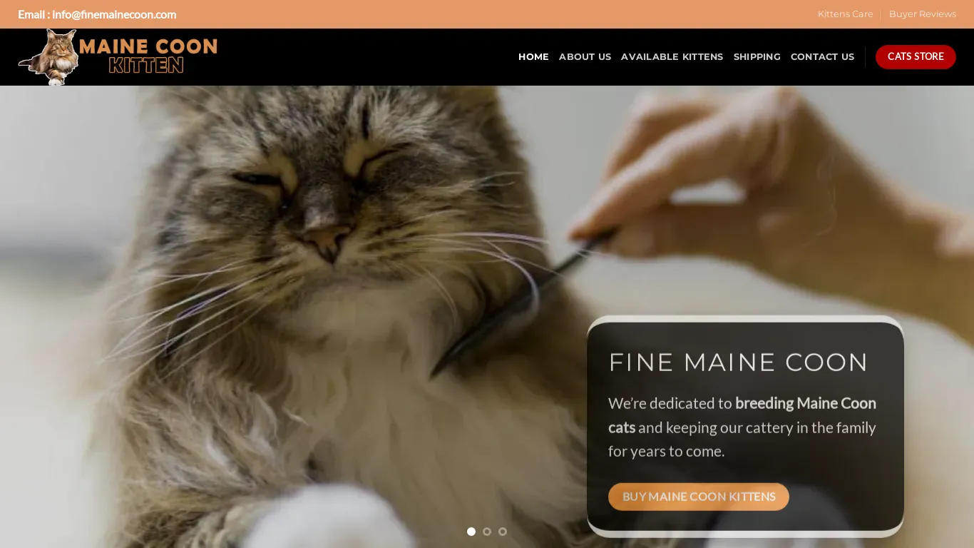 is Fine Mainecoon Kittens For Sale – At Fine Maine Coons Home, we take great care to make sure we provide happy, healthy, and high-quality kittens. All of our cats have been genetically tested. legit? screenshot