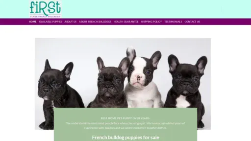 A screenshot of Firstclassfrenchbulldogs.com