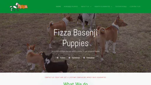 A screenshot of Fizzabasenjipups.com