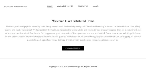 A screenshot of Flavdachshundpup.com
