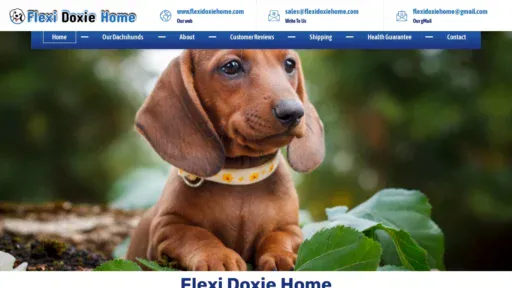 A screenshot of Flexidoxiehome.com