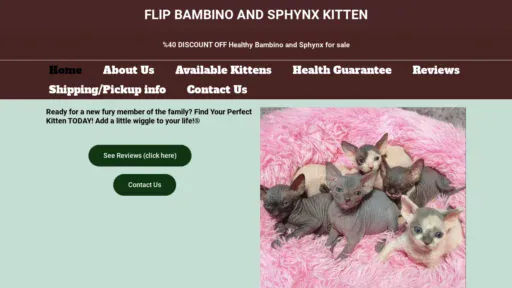 A screenshot of Flipbambino-sphynxkittens.com