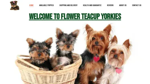 A screenshot of Flowerteacupyorkies.com
