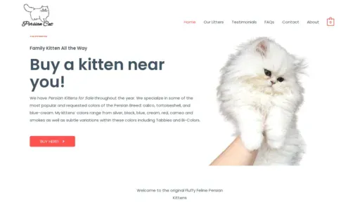 A screenshot of Fluffyfelinepersiankitten.com