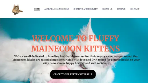 A screenshot of Fluffymaincoonkittens.com