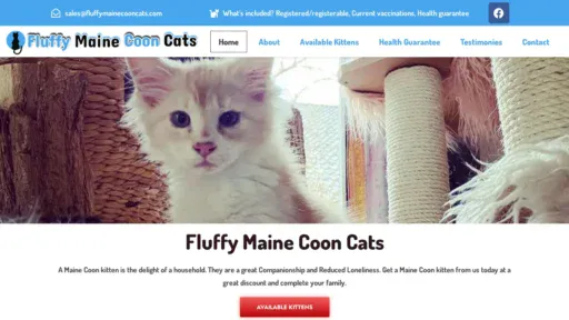 A screenshot of Fluffymainecooncats.com