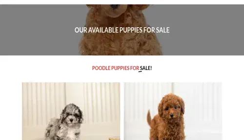 A screenshot of Genlanfamilystbernard.com