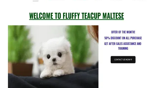 A screenshot of Genlanfamilystbernard.com