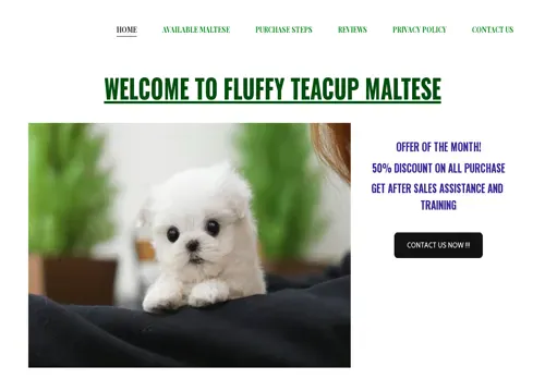 is fluffyteacupmaltese.com legit? screenshot