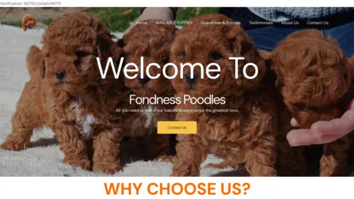 A screenshot of Fondnesspoodles.com