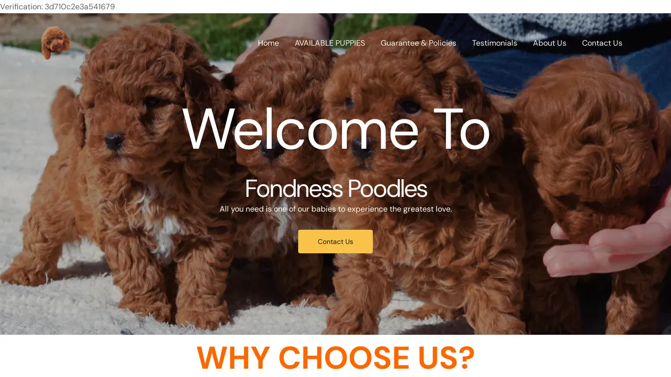 is fondness Poodles Home - fondness Poodles legit? screenshot
