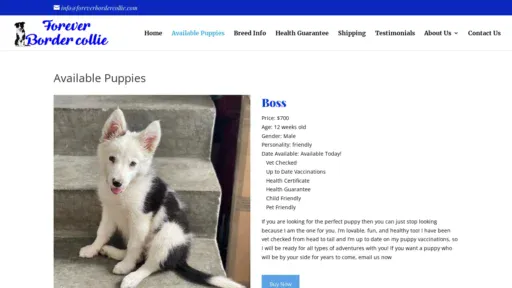 A screenshot of Foreverbordercollie.com