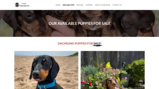 A screenshot of Foreverdachshundspup.com