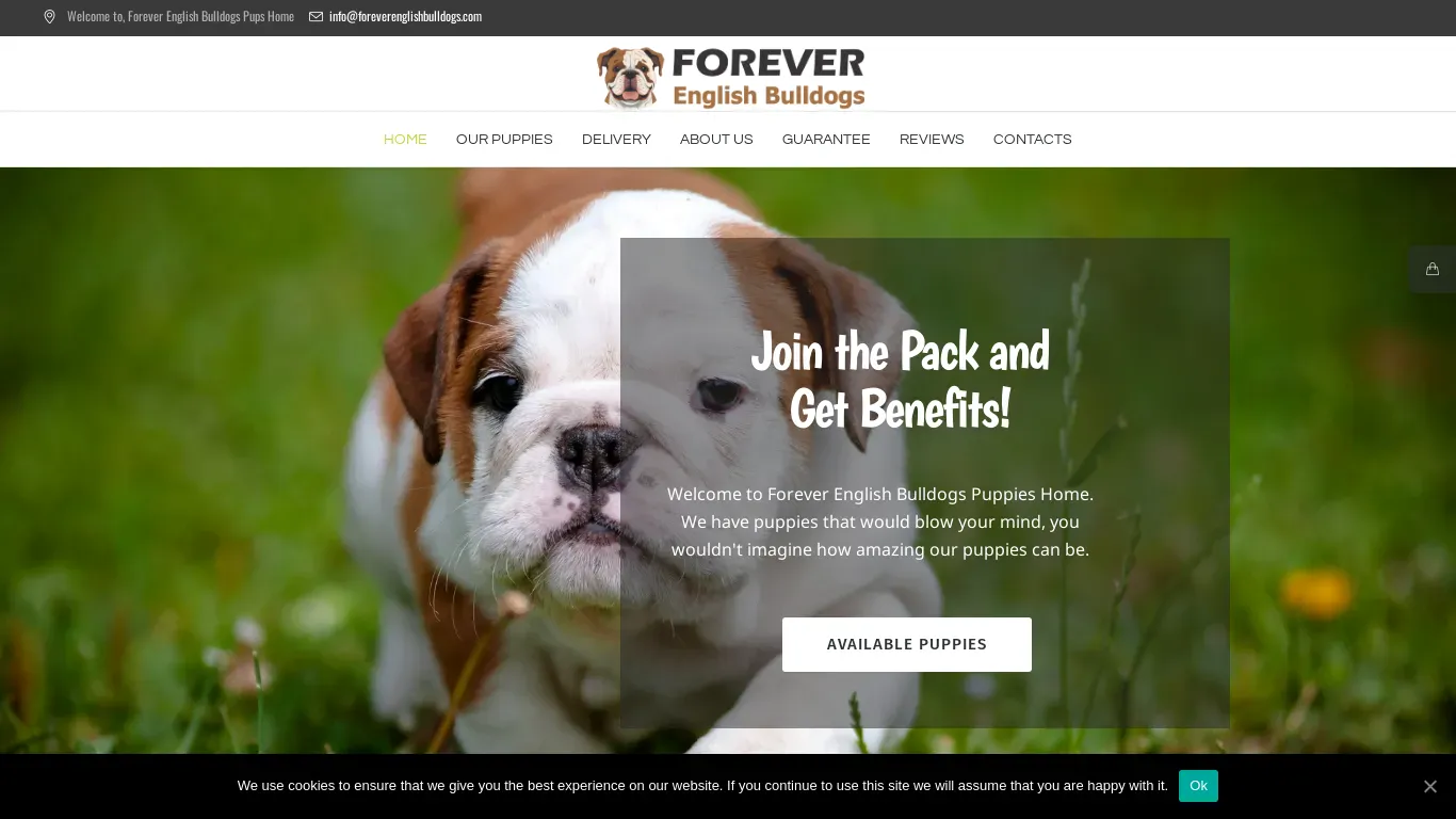 is Home - Forever English Bulldogs legit? screenshot