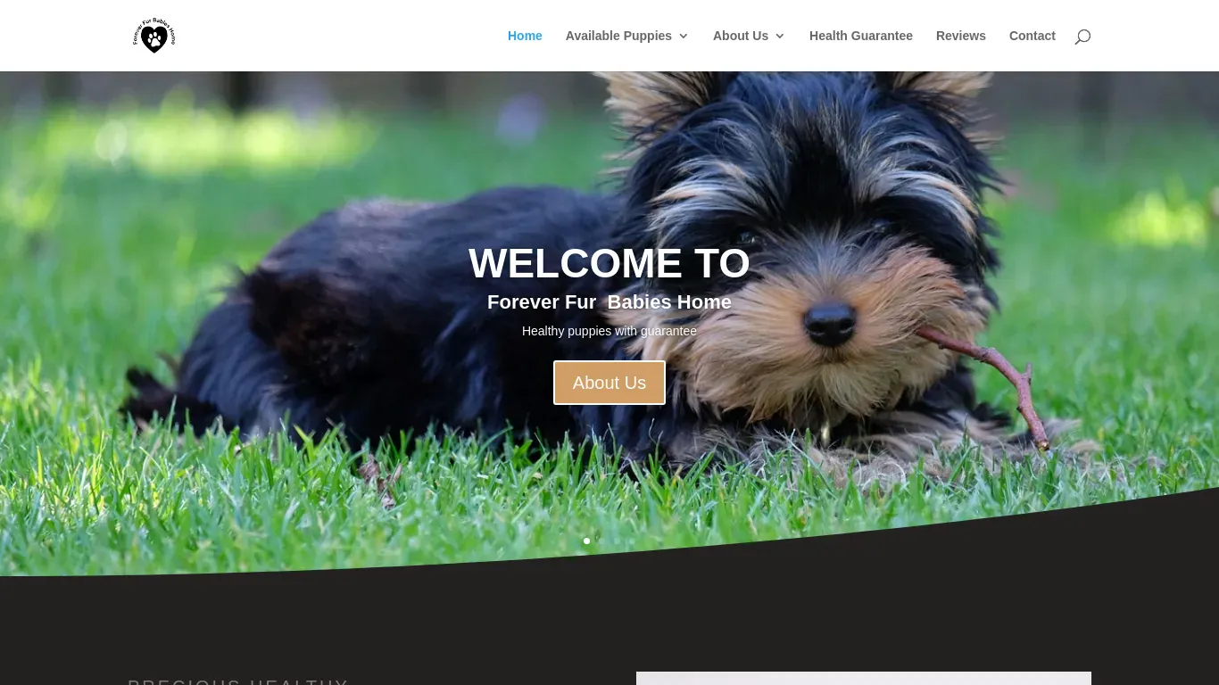 is Forever Fur Babies Home | Healthy Bloodlines legit? screenshot