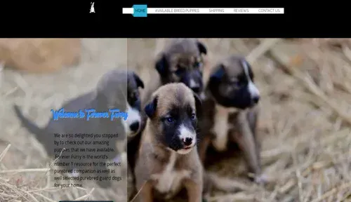 A screenshot of Genlanfamilystbernard.com