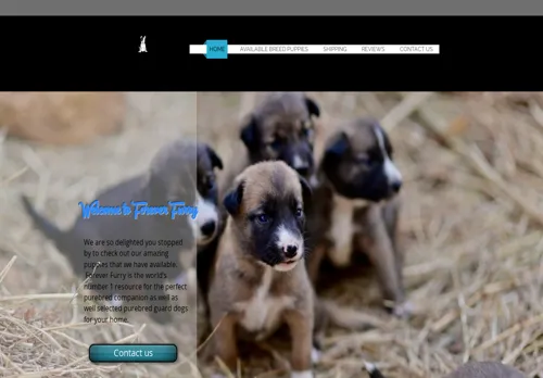 is foreverfurry.co.za legit? screenshot