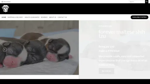 A screenshot of Forevermalteseshihtzu.com