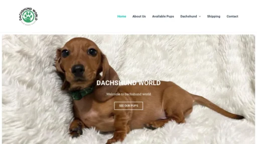 A screenshot of Foreverminidachshund.com
