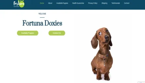 A screenshot of Genlanfamilystbernard.com