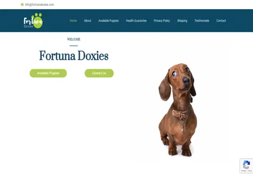 is fortunadoxies.com legit? screenshot