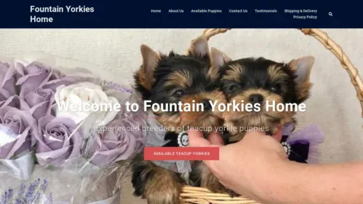 A screenshot of Fountainyorkieshome.com