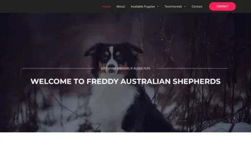 A screenshot of Freddyaustralianshepherdpuppies.com