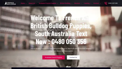 A screenshot of Frenchandbritishbulldogaustralia.com