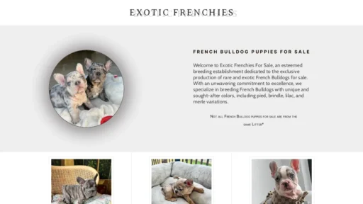 A screenshot of Frenchbuldogforsale.com