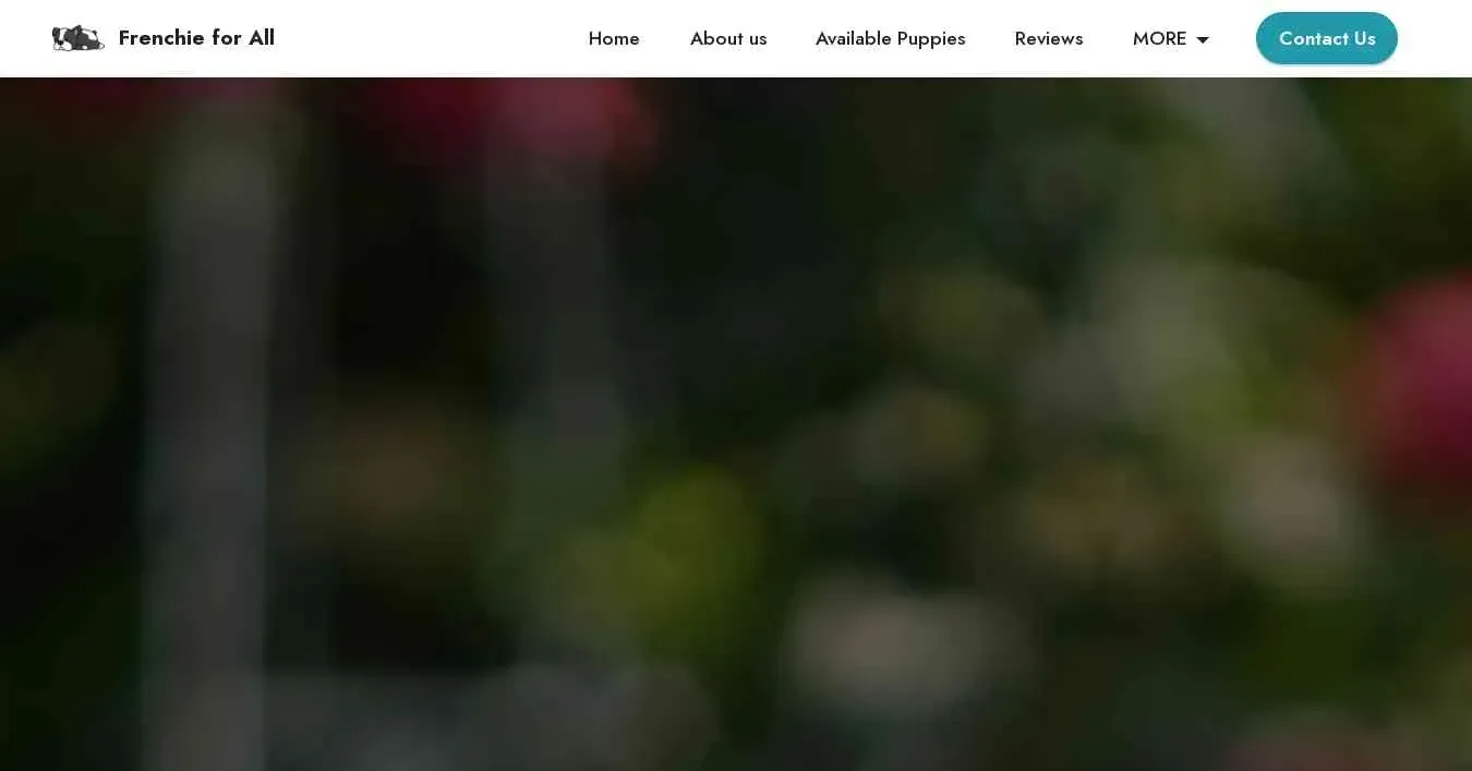 is frenchie4all.su legit? screenshot