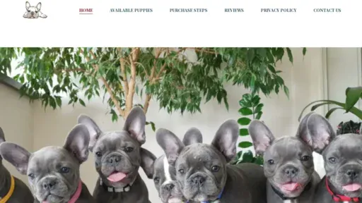 A screenshot of Frenchiebuddies.com