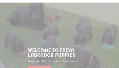 A screenshot of Genlanfamilystbernard.com