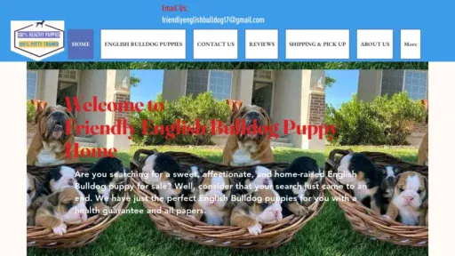 A screenshot of Friendlyenglishbulldogpets.com
