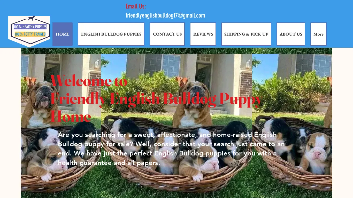 is HOME | Friendly English Bul legit? screenshot