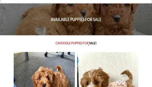 A screenshot of Genlanfamilystbernard.com