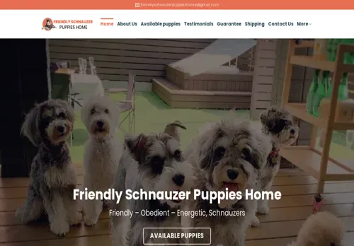is friendlyschnauzerpuppieshome.com legit? screenshot