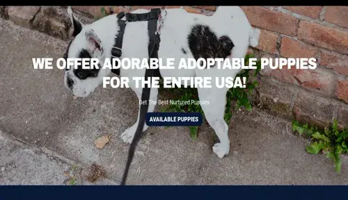 A screenshot of Genlanfamilystbernard.com