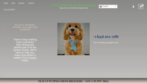 A screenshot of Furbabyadoption.net