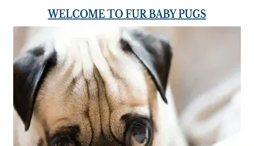 A screenshot of Genlanfamilystbernard.com