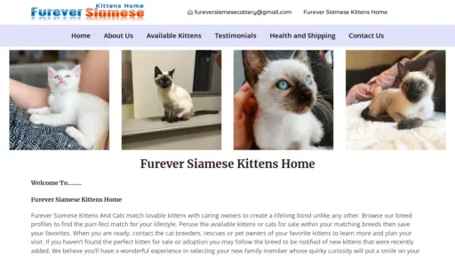 A screenshot of Fureversiamesekittens.com