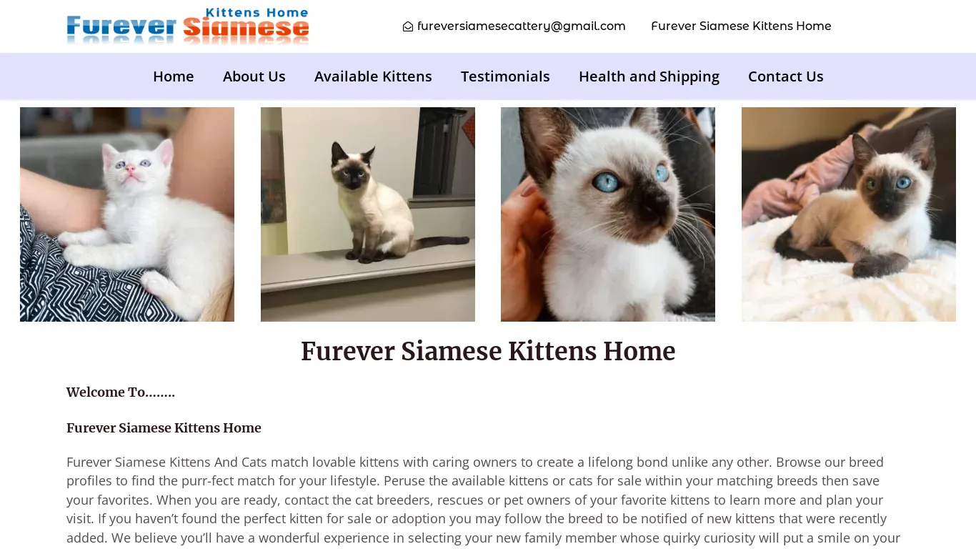 A screenshot of Fureversiamesekittens.com