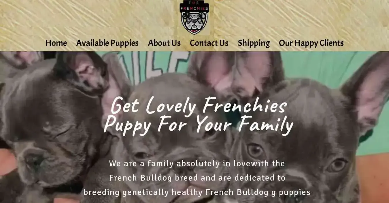 is furfrenchies4homes.com legit? screenshot