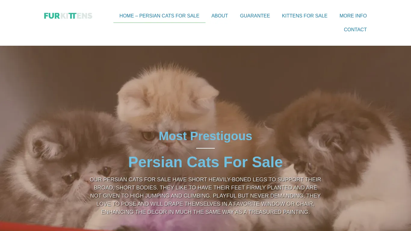 is furkittens.com legit? screenshot
