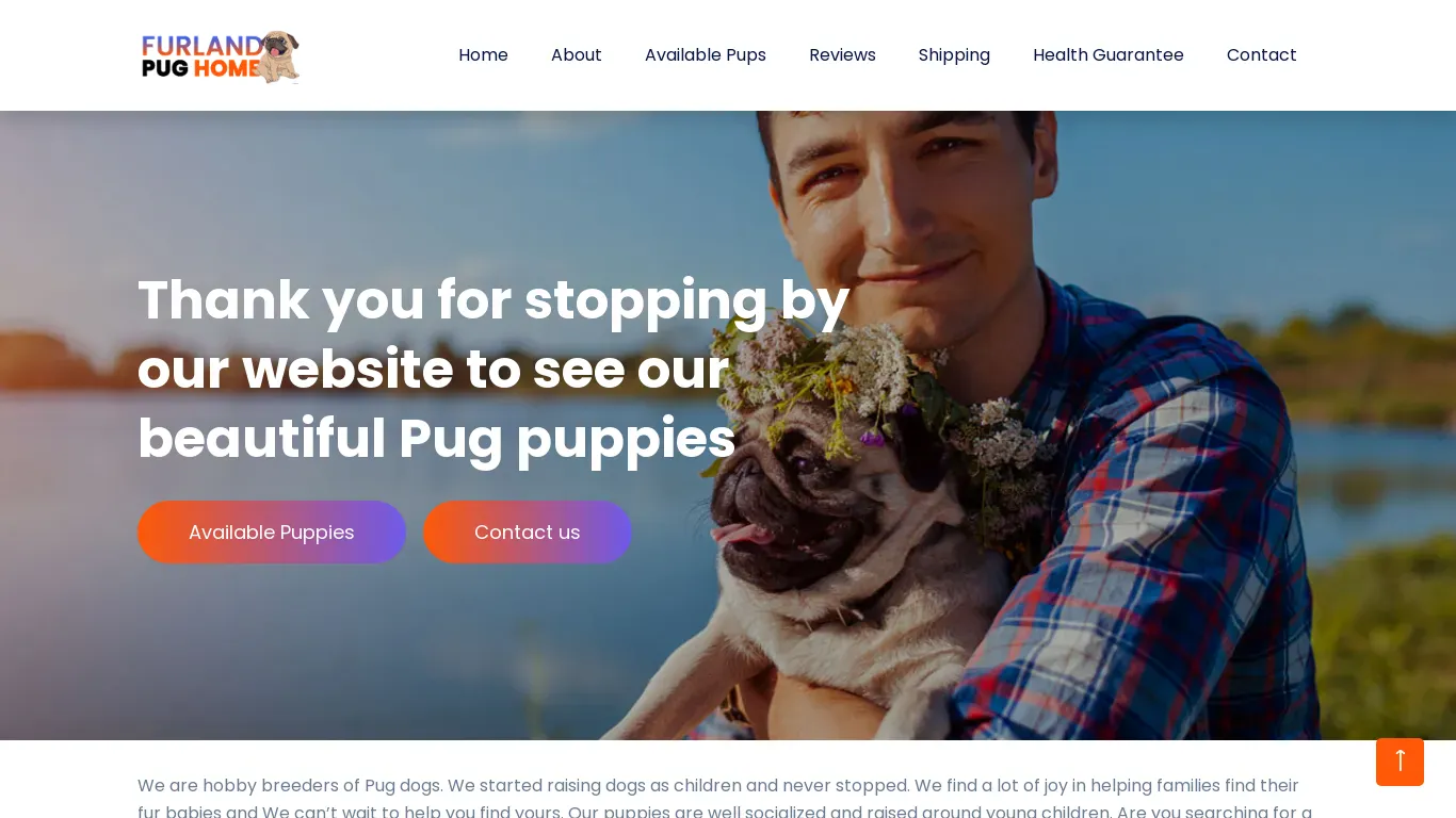 is Home | Furland Pug Puppies legit? screenshot