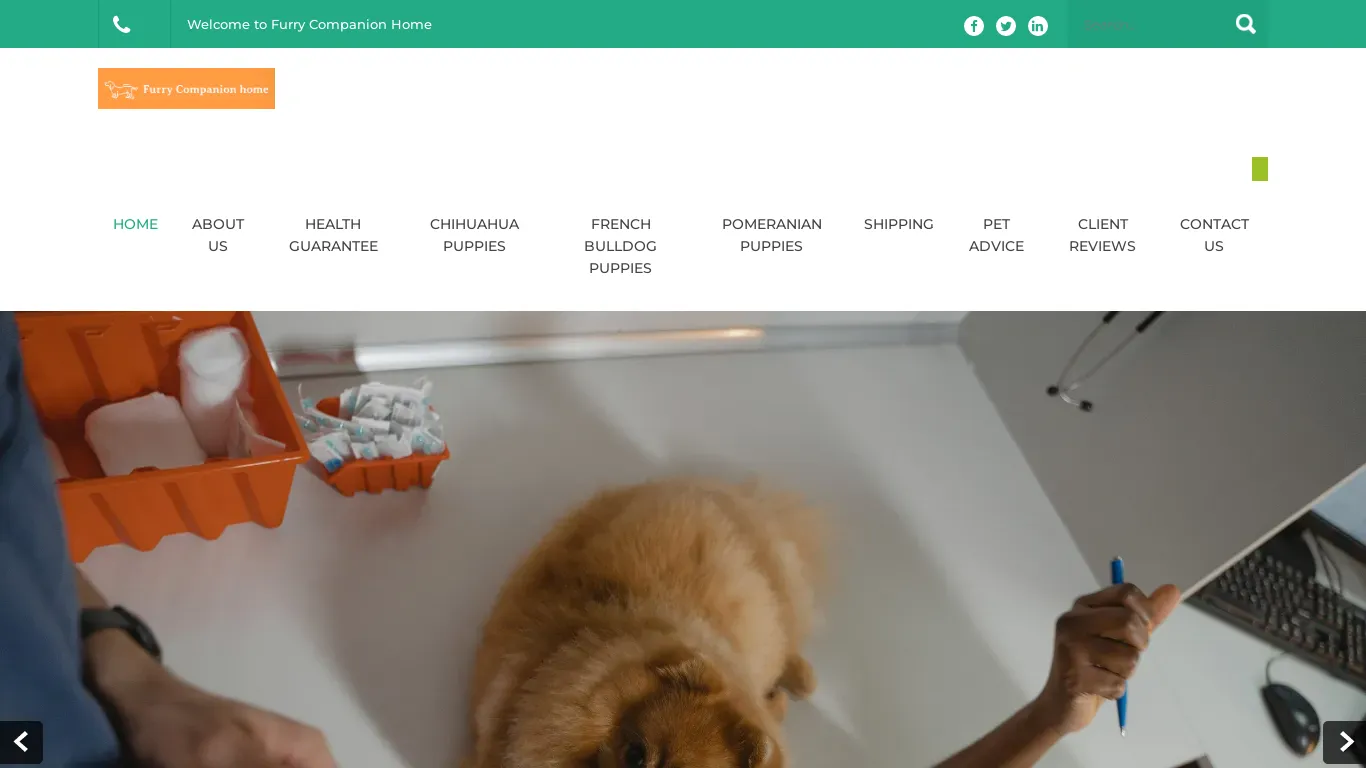 is furrycompanionhome.com legit? screenshot