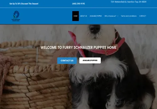 is furryschnauzer.com legit? screenshot