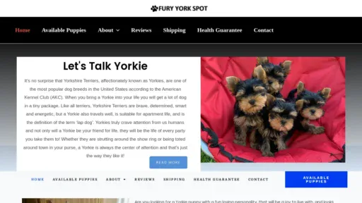 A screenshot of Furyyorkspot.com