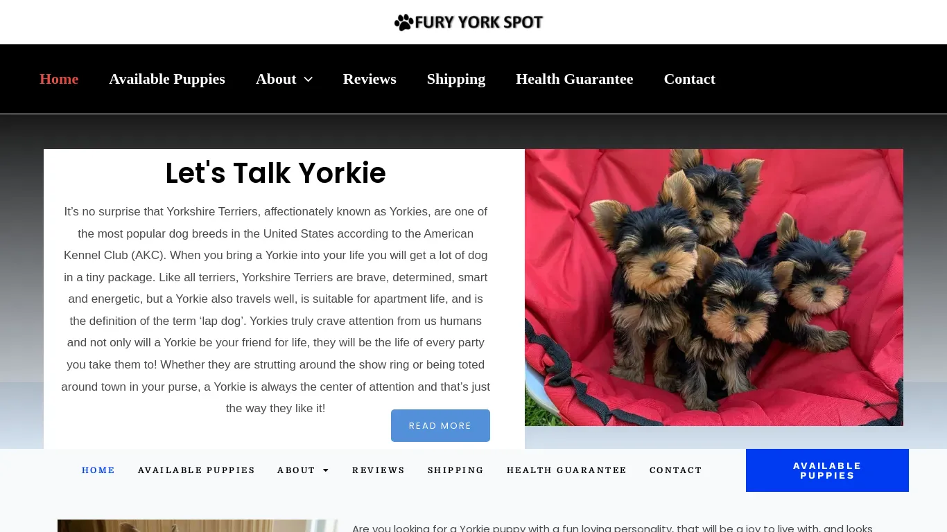 is furyyorkspot.com legit? screenshot