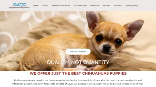 A screenshot of Fusionchihuahuas.com